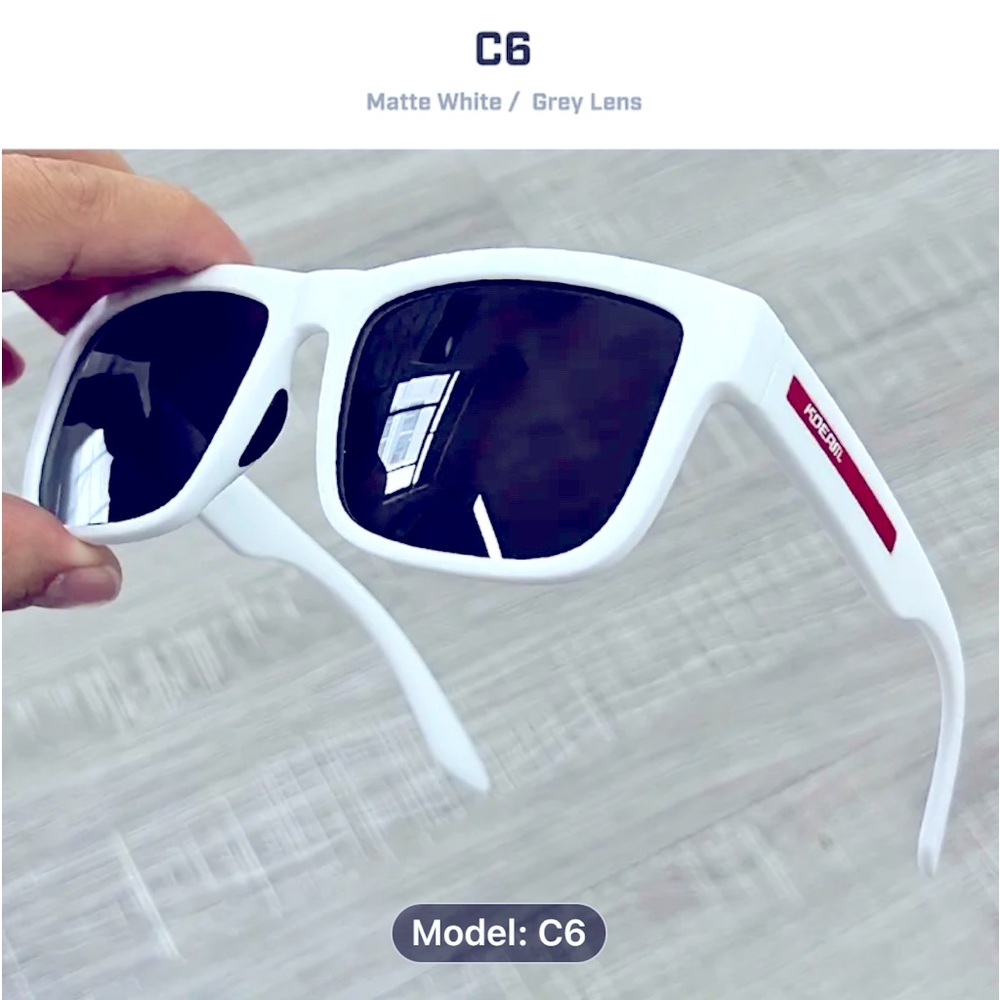 Classic Designer Sunglasses (C6)